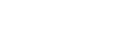 ProSecurity Safe